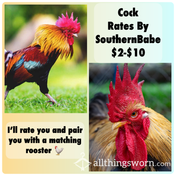 C*ck Rates By SouthernBabe