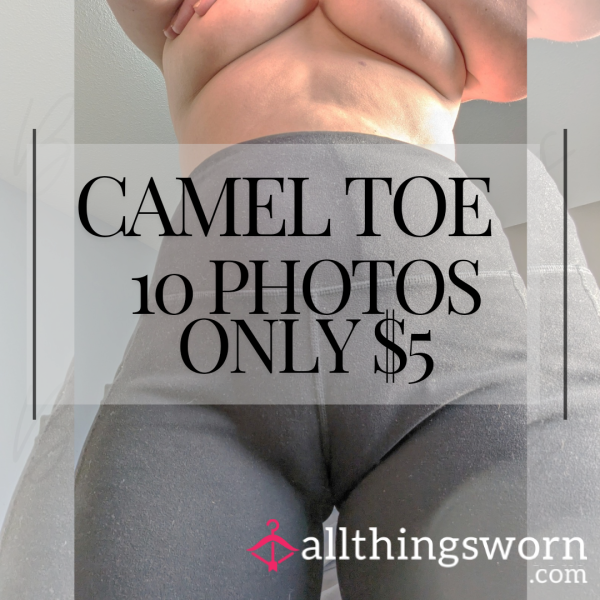 🐫 Come See All My Best Camel Shots 🐫 10 Photos!