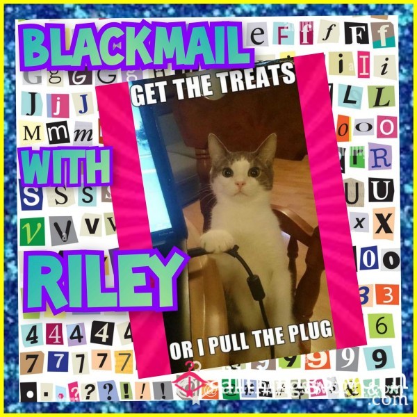 ❕️🫢📧😳 Consensual Blackmail With Riley😳📧🤭❕️