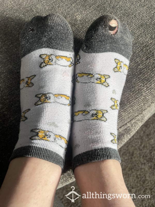 Corgi Socks Well Worn