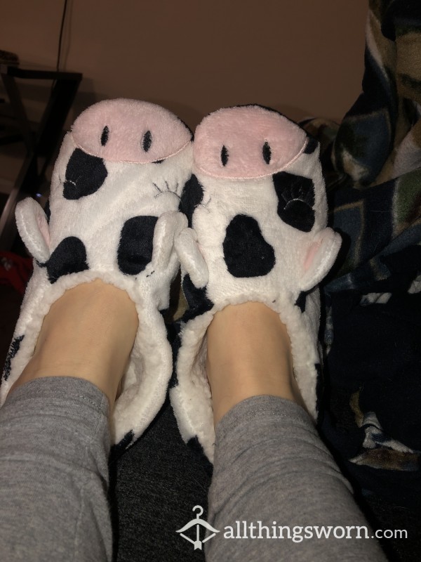 Cow Slippers