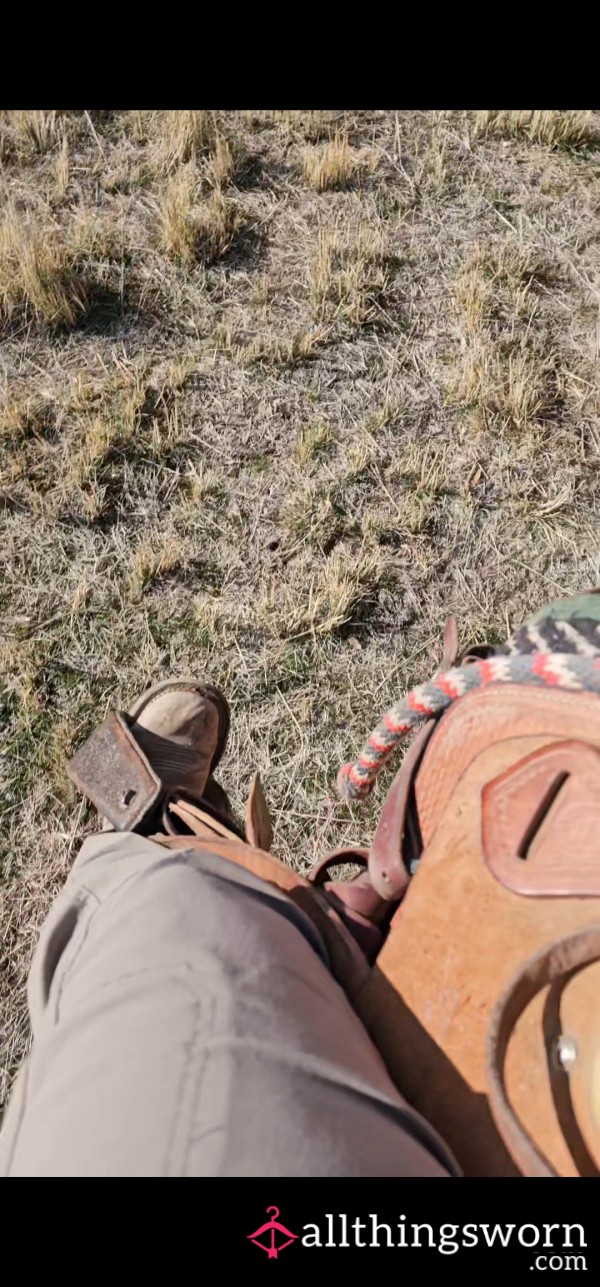 Cowgirl's And Trail Rides