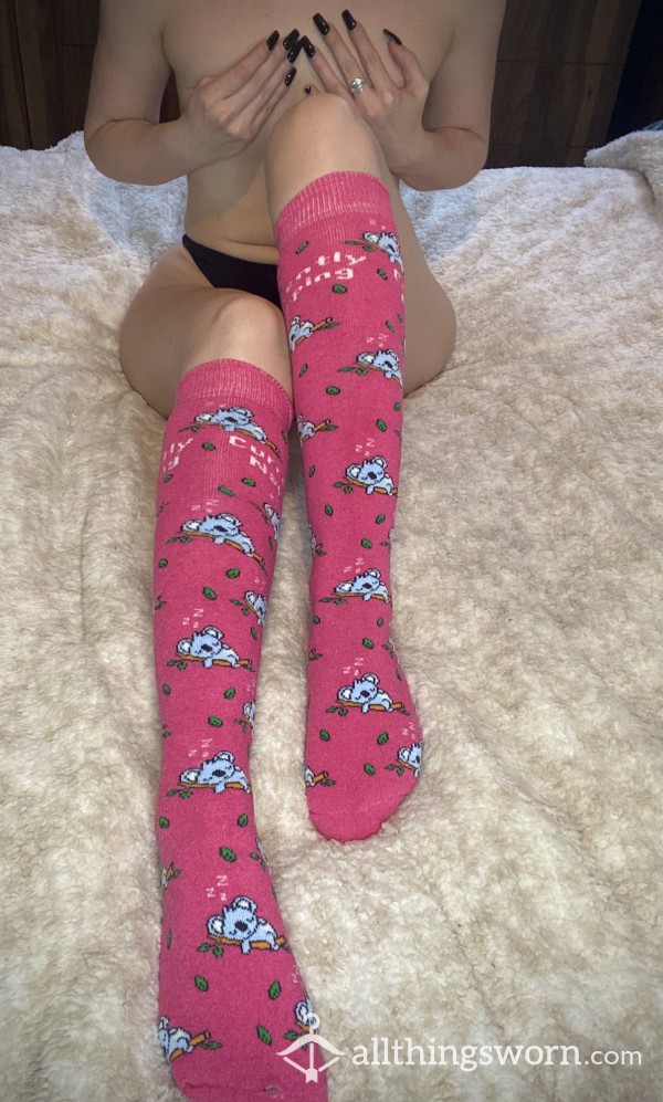 Currently Napping Pink Koala Socks