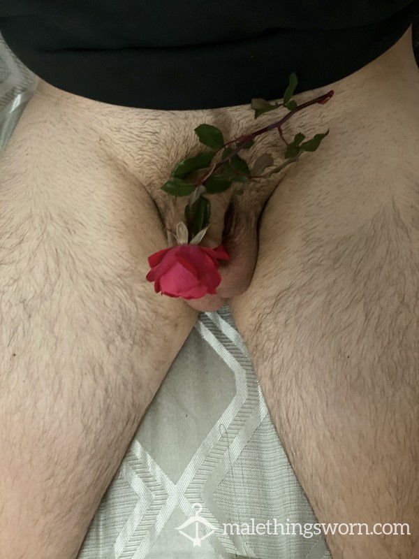 Custom Pics Or Videos