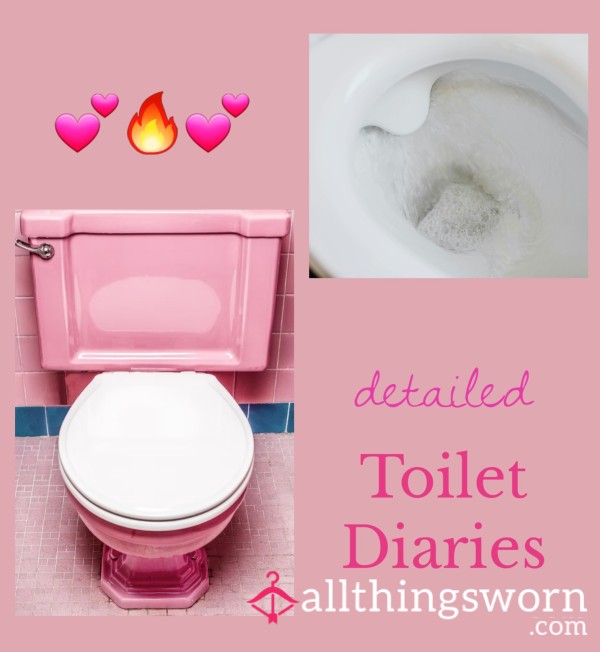 🧻🚽Custom Toilet Diaries🚽🧻