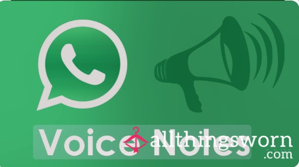 Custom Voice Notes