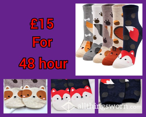 Cute Animal Socks, 48-hour Wear 🧦