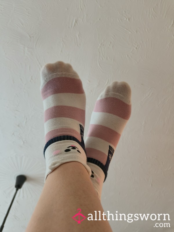 Cute Bear Socks