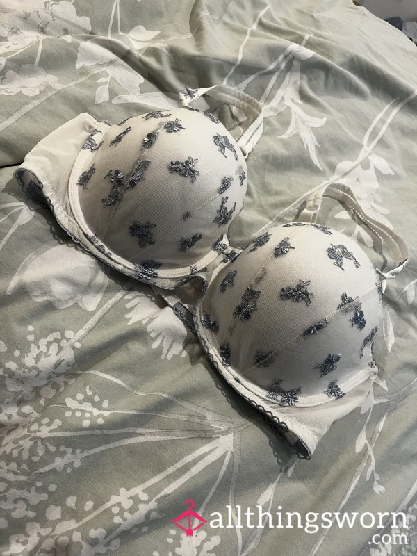 Cute Bra 38DD