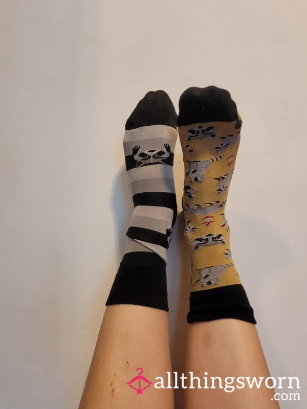 Cute Cotton Racoon Socks