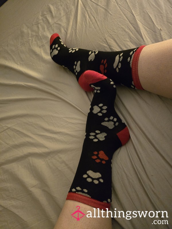 Cute Doggie Socks