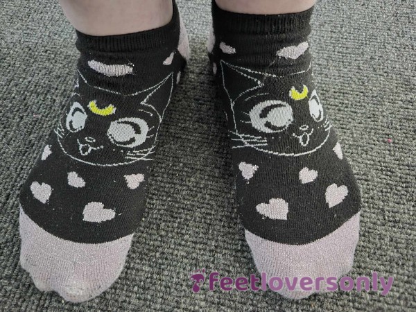 Cute Kitty Socks