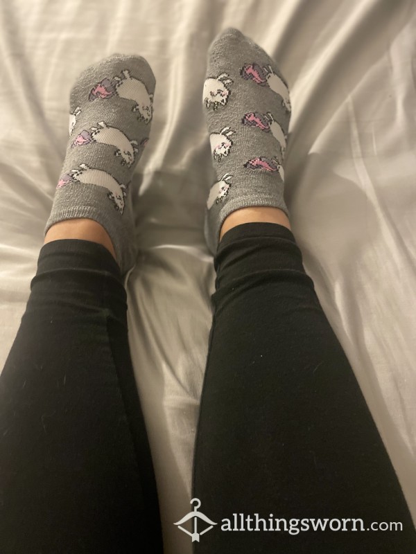 Cute No Show Kitty Socks