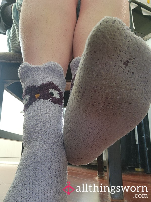 Cute Nasty Worn Owl Fuzzy Socks