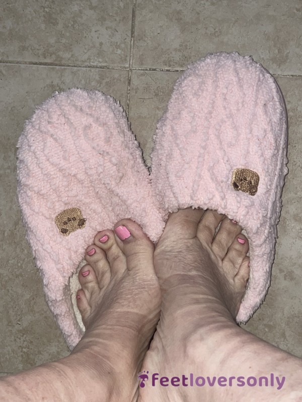 Cute Pink, Bear Slippers, Smelly, Stinky Feet