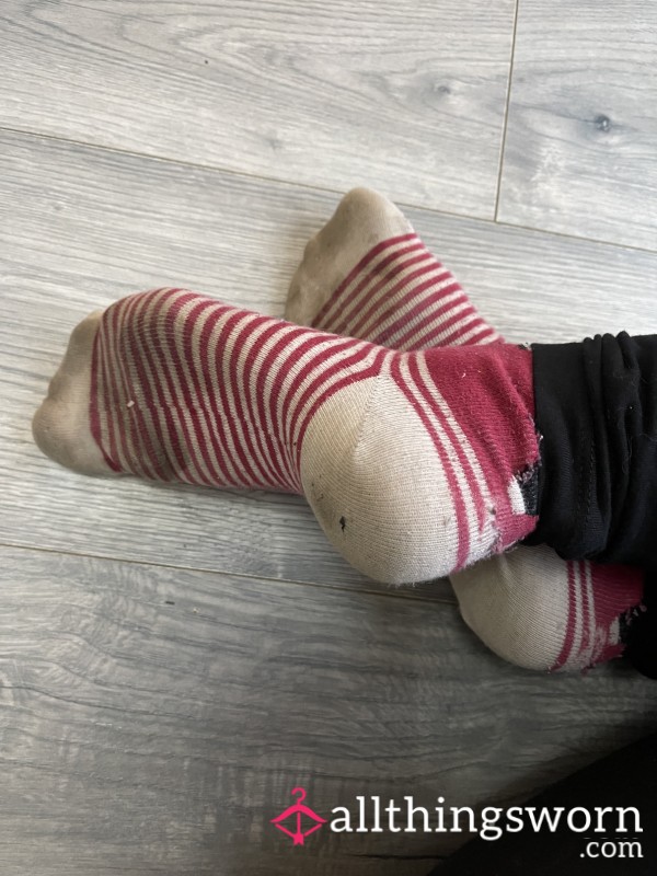 Cute Teddy Bear Socks