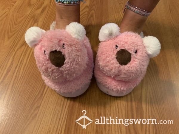 Cute, Well-worn Bear Slippers