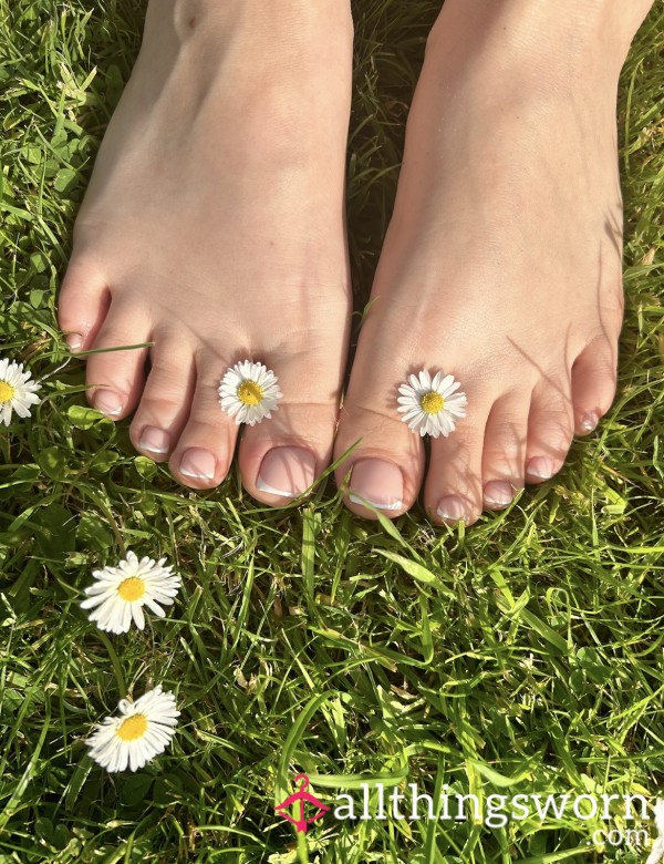 Daisys In My French Pedicured Toes