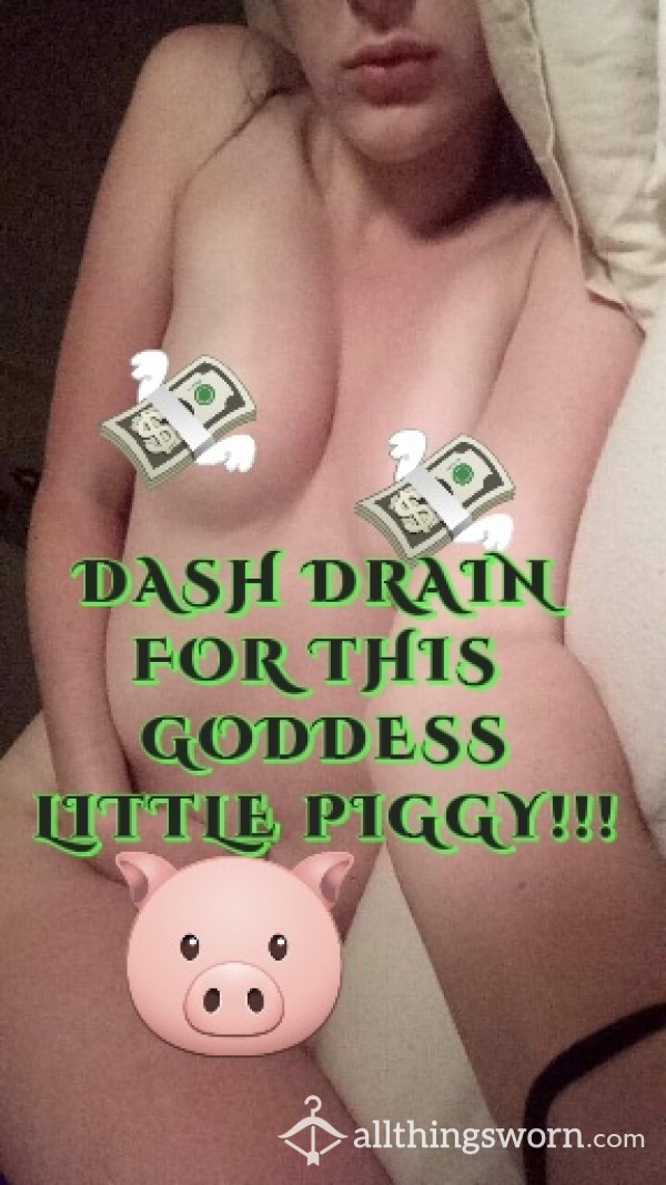 🐷💸💰Dash Drain!!💰💸🐷