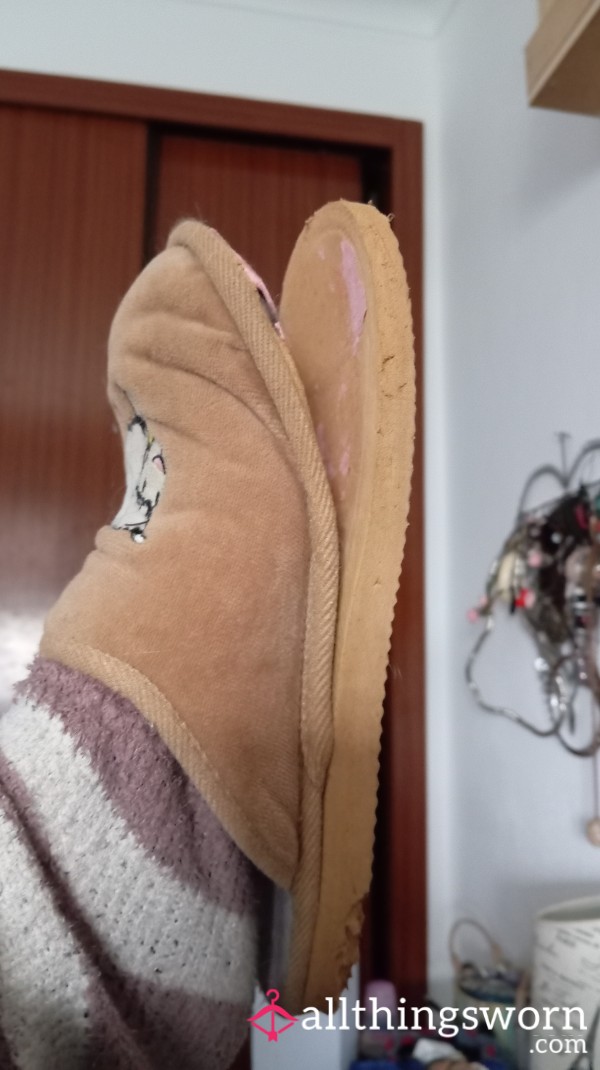 Destroyed Slippers