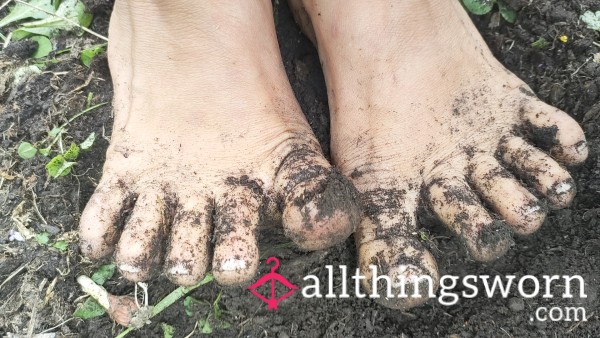 Digging My Toes In Soil After Weeding The Garden