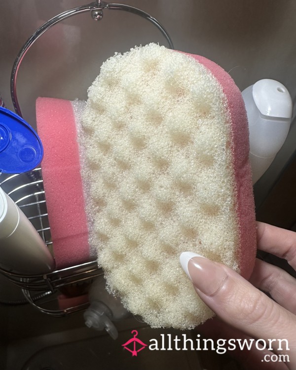 Dirty Body Sponge Used DAILY