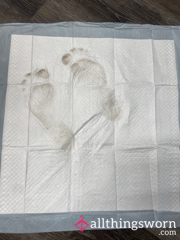 Dirty Feet Imprints On Puppy Pads