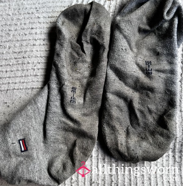 Dirty Grey Tommy Hilfiger Socks -48hr Wear