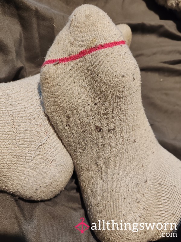 Dirty, Old, Smelly Socks