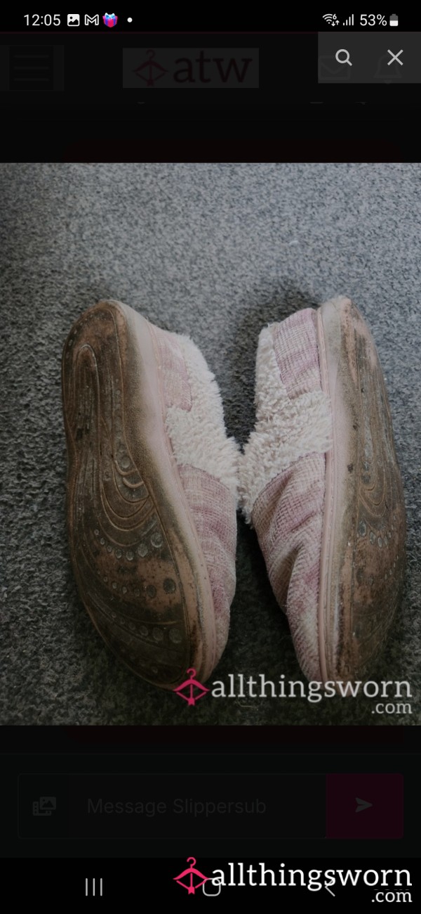 Dirty Smelly Slippers Worn For Over 2 Years