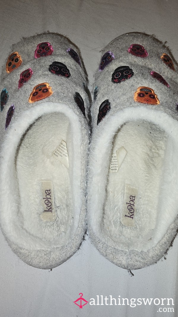 Dirty Worn Out Fuzzy House Slippers