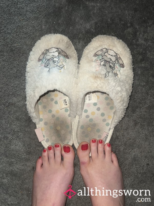 Dirty Worn Slippers