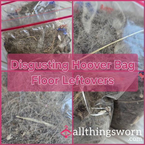 Disgusting Hoover Bag Floor Leftovers - INTRODUCTORY PRICE