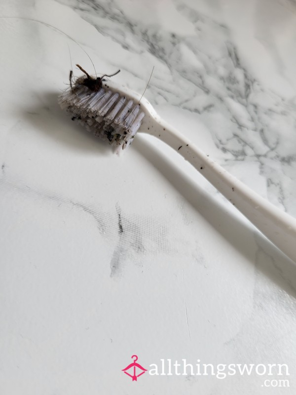 Drain Cleaned Toothbrush