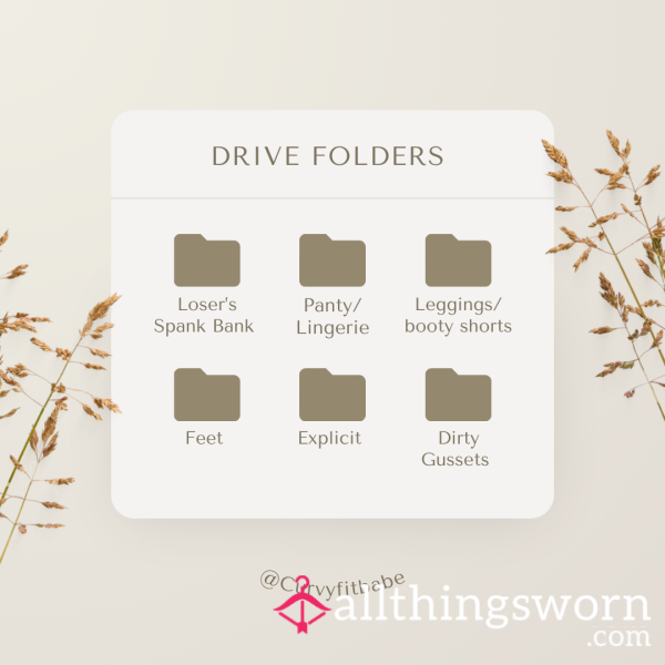 Photo Drive Folders