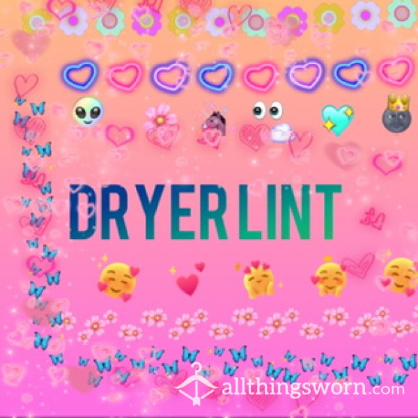 Dryer Lint