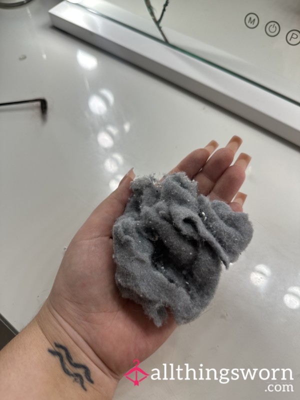 Dryer Lint