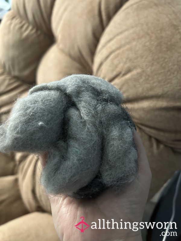 Dryer Lint