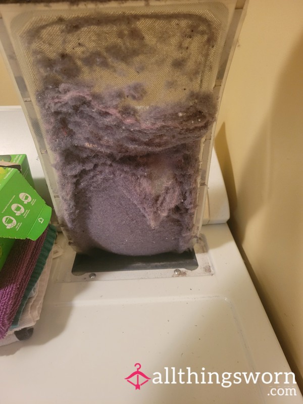 Dryer Lint