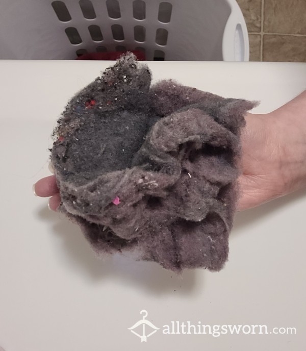 Dryer Lint