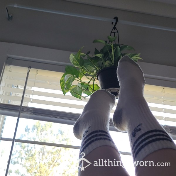 Enchantress Socks