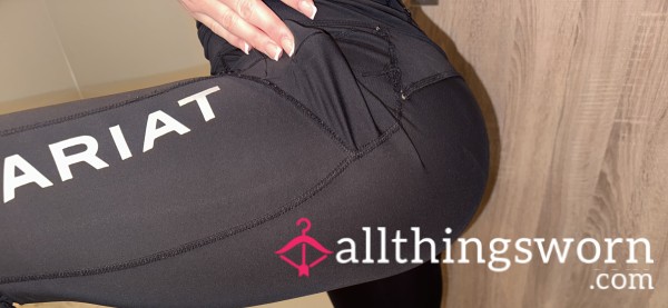 Equestrian Pants - ARIAT Riding Pants