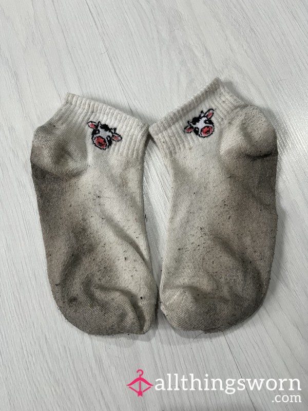 Extra Filthy White Trainer Socks