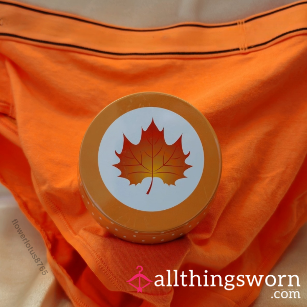 Fall Panty Bundle