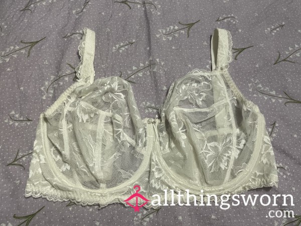 Fantasie Ivory Lace Bra 34GG