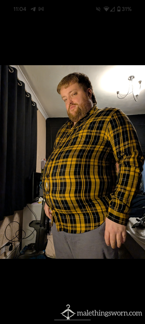 Fat Bear Tries On Old Shirt