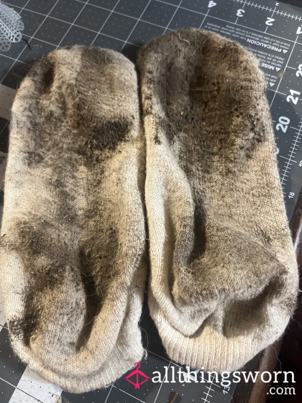 Filthy Dirty, Stinky Socks Comes With Seven Day Wear