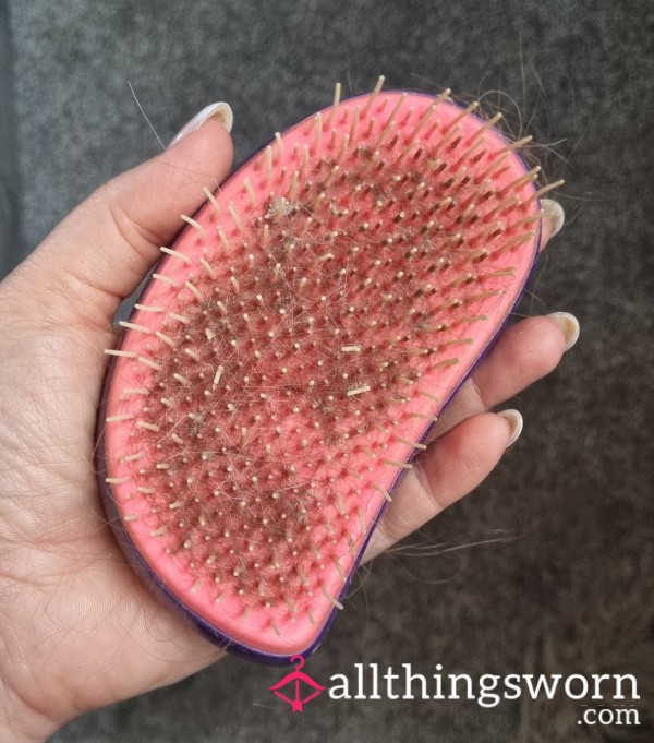 Filthy Hairbrush