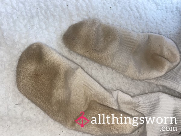 Filthy Socks Worn For 2 Weeks Straight