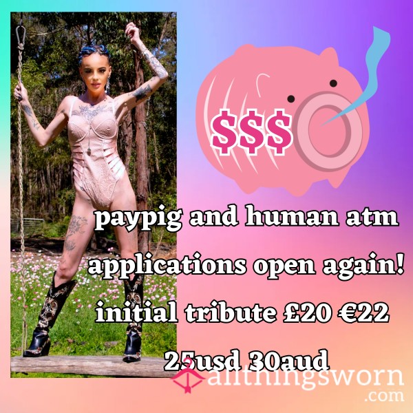 Findom Paypig Applications Open